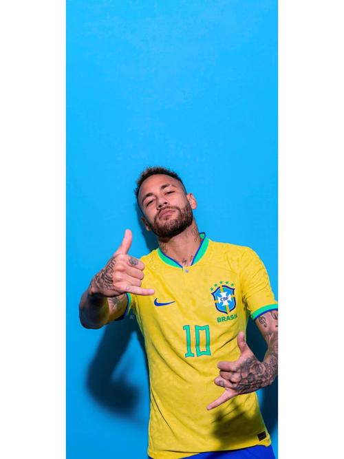 76 人外援适配度饱受争议（76人外援契合度引发热议）